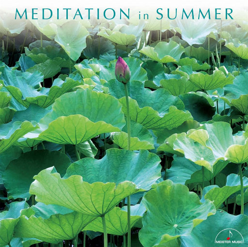 国产日韩aⅴ免费无码一区二区
